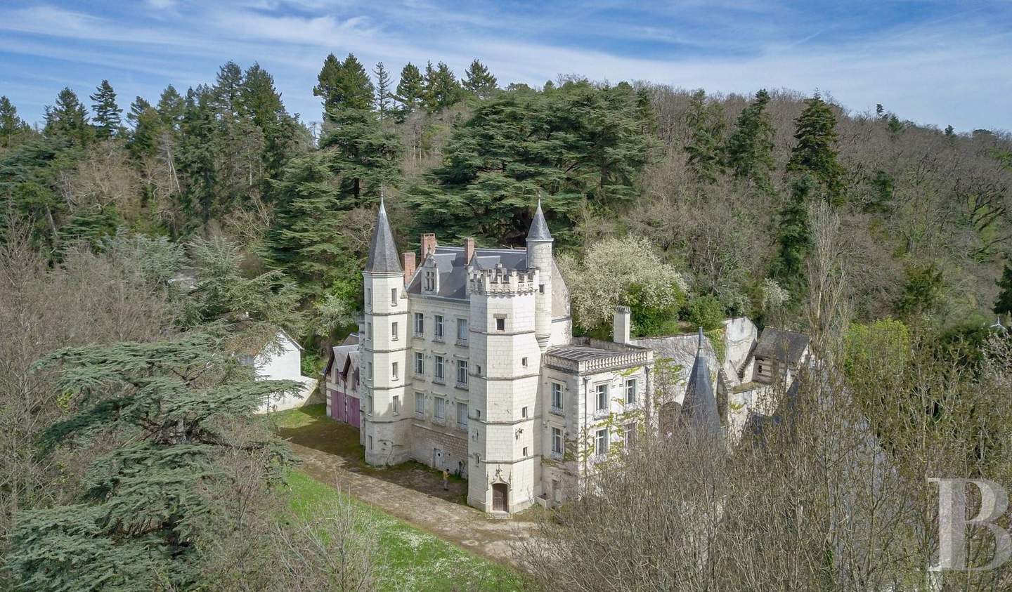 Château Montrichard