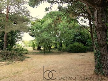 Terrain A Saint Armel Pour Beneat Chauvel Sarzeau