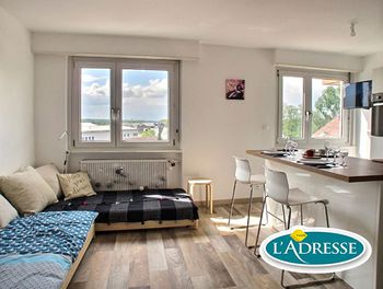 Location D Appartement A Saint Louis 68 Appartement A Louer