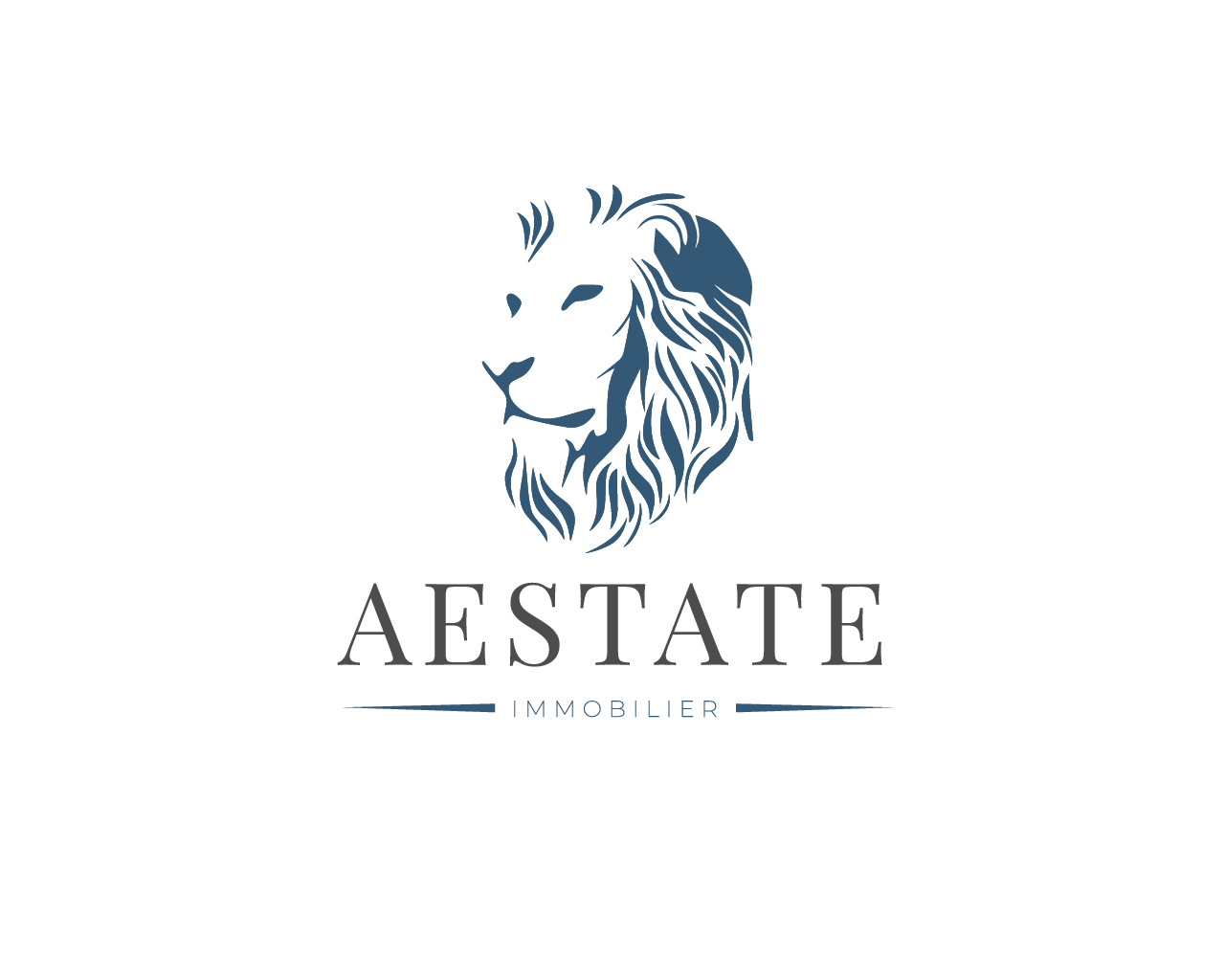 Logo de AESTATE